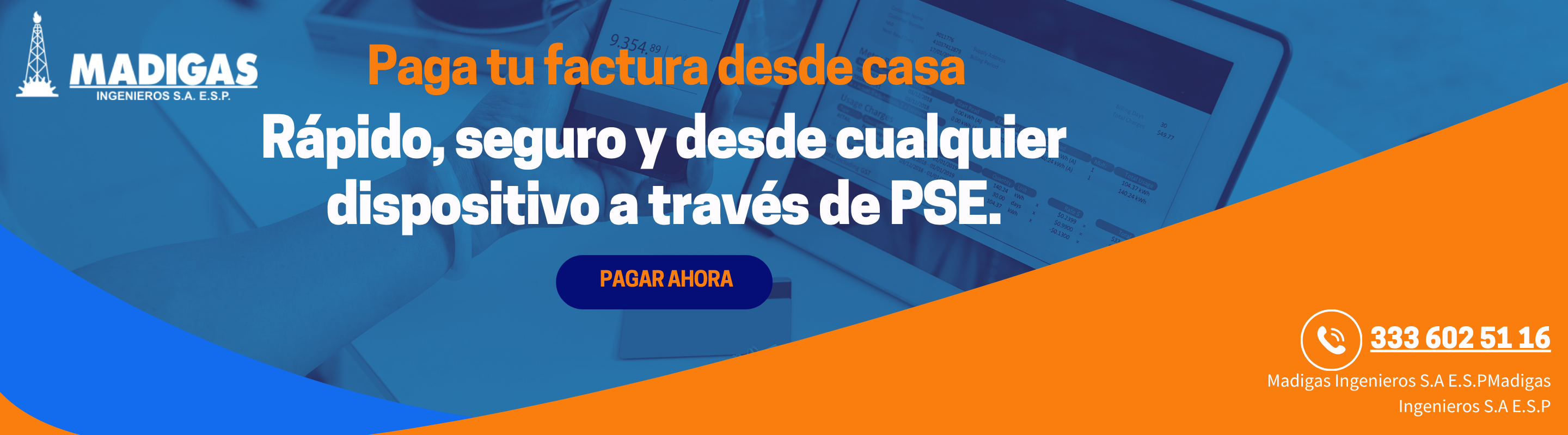 Pago de Factura